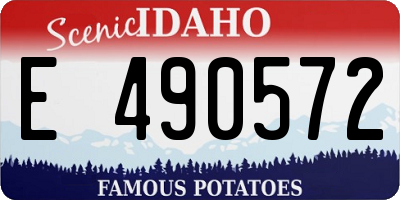 ID license plate E490572