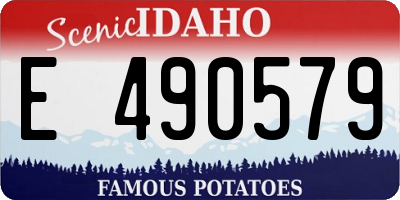 ID license plate E490579