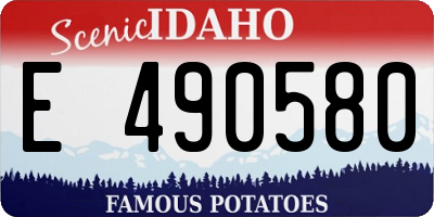 ID license plate E490580