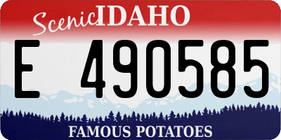 ID license plate E490585