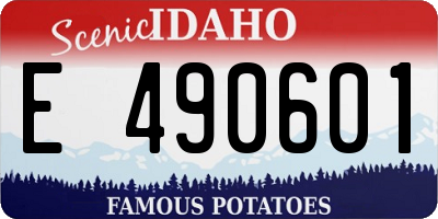 ID license plate E490601