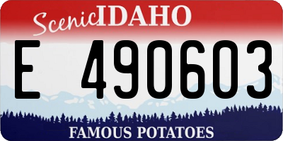 ID license plate E490603