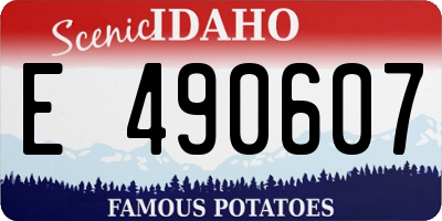 ID license plate E490607