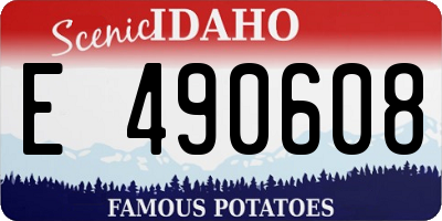 ID license plate E490608