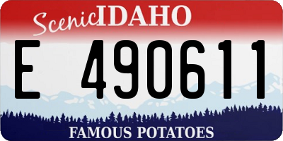 ID license plate E490611