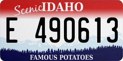 ID license plate E490613