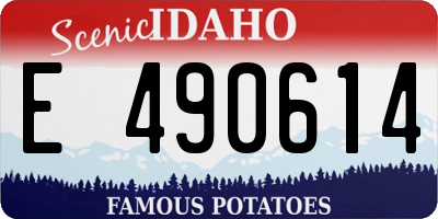 ID license plate E490614