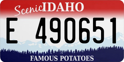 ID license plate E490651