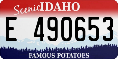 ID license plate E490653