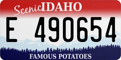 ID license plate E490654