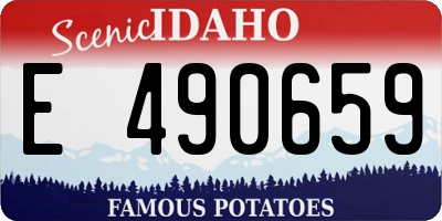 ID license plate E490659