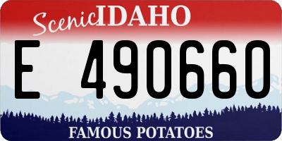 ID license plate E490660