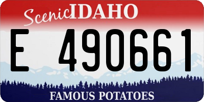 ID license plate E490661