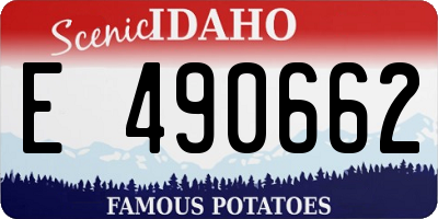ID license plate E490662