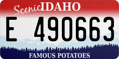 ID license plate E490663