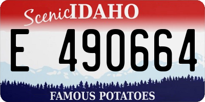ID license plate E490664
