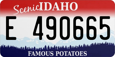ID license plate E490665