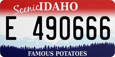 ID license plate E490666