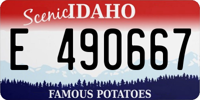 ID license plate E490667