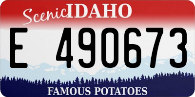 ID license plate E490673