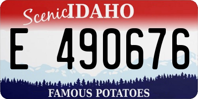 ID license plate E490676