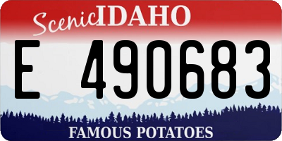 ID license plate E490683
