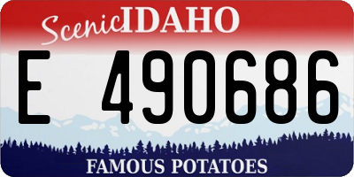 ID license plate E490686
