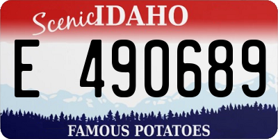 ID license plate E490689