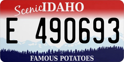 ID license plate E490693