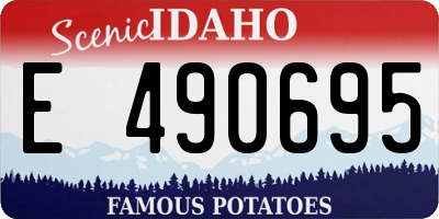 ID license plate E490695