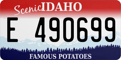 ID license plate E490699