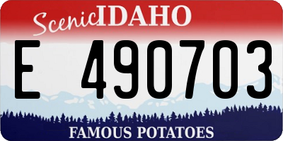 ID license plate E490703