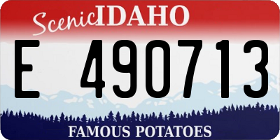 ID license plate E490713