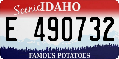 ID license plate E490732