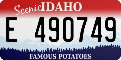 ID license plate E490749
