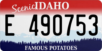 ID license plate E490753