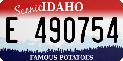 ID license plate E490754