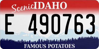 ID license plate E490763