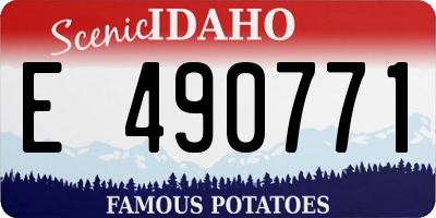 ID license plate E490771