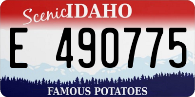 ID license plate E490775