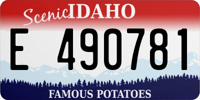 ID license plate E490781