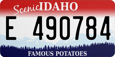 ID license plate E490784