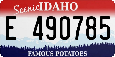 ID license plate E490785