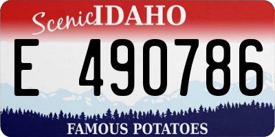 ID license plate E490786