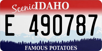 ID license plate E490787
