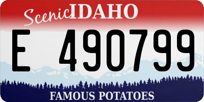 ID license plate E490799