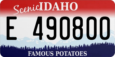 ID license plate E490800