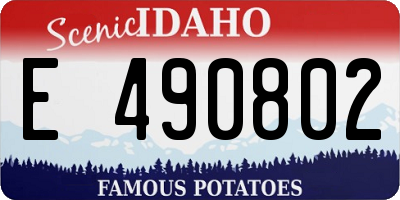ID license plate E490802