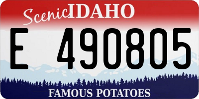 ID license plate E490805