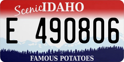 ID license plate E490806